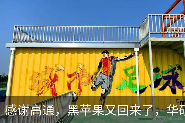 感谢高通，黑苹果又回来了，华硕笔记本成功运行macOS