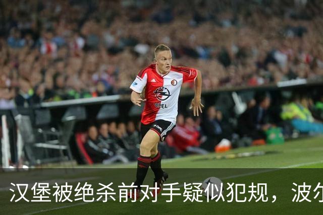 汉堡被绝杀前对手疑似犯规，波尔津质疑裁判尺度