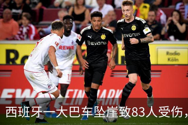西班牙一大巴车坠崖致83人受伤，中国游客未能挤上车躲过一劫，当事人：当天正在事发地徒步，事发后在山顶等待了5个半小时才平安下山