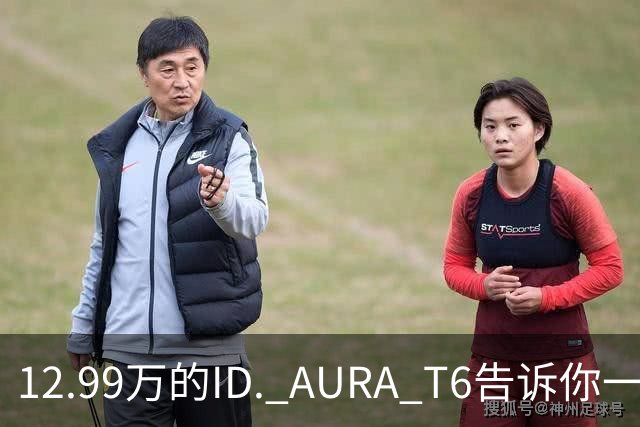 12.99万的ID. AURA T6告诉你一分钱能买两分货